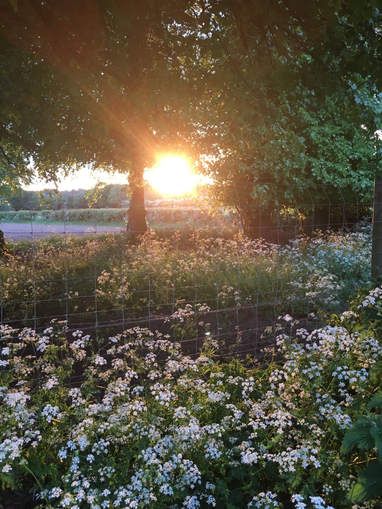 Красивые эстетичные места в природе