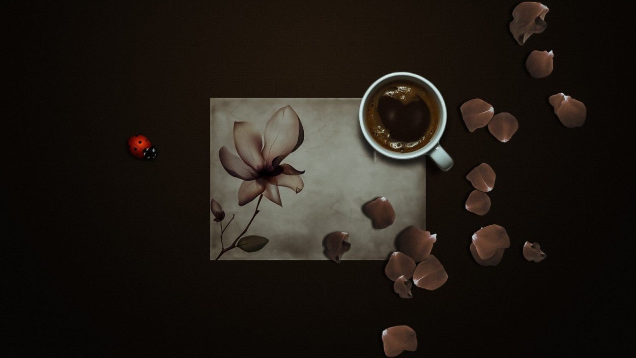 Обои на рабочий стол в коричневых тонах