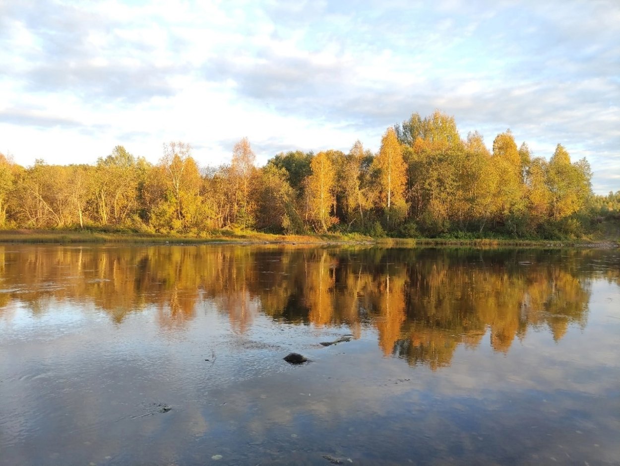 Осень в сибири