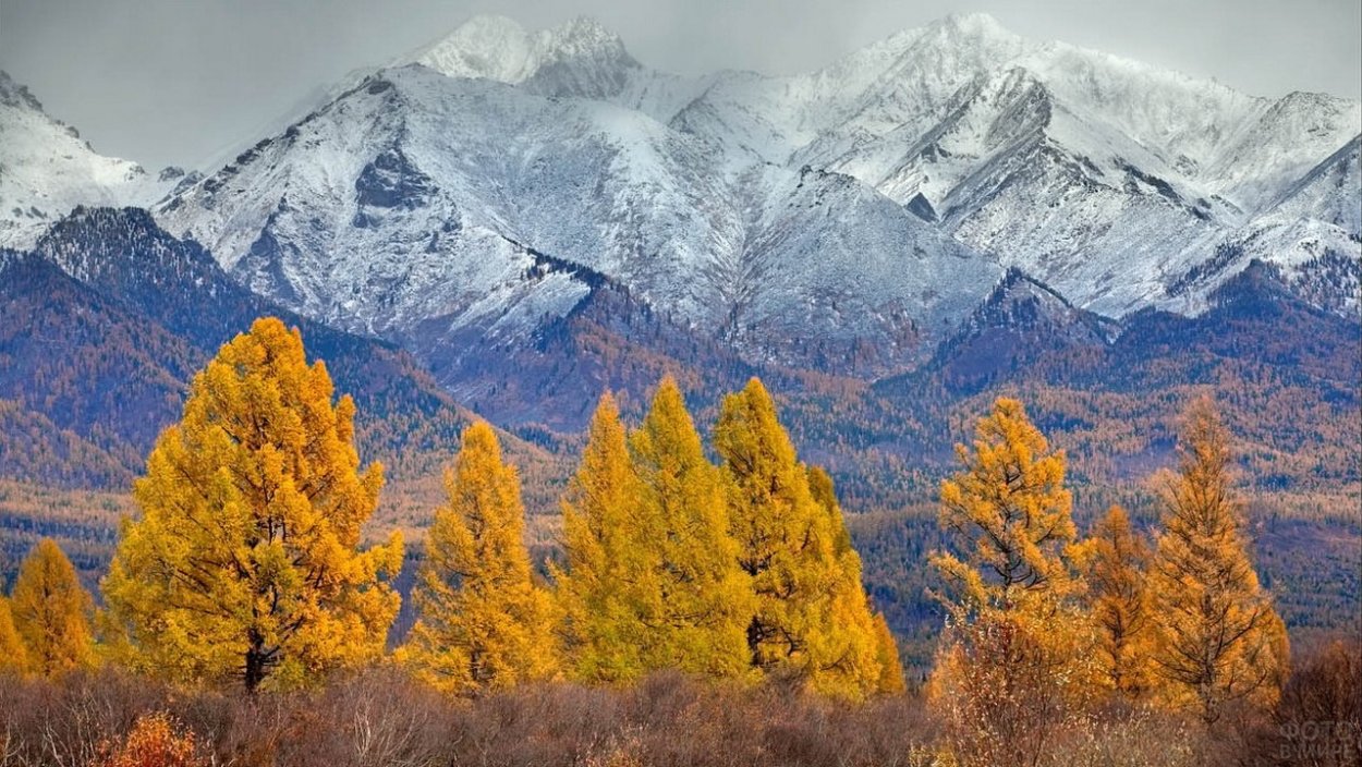 Восточные Саяны Аршан осень Золотая