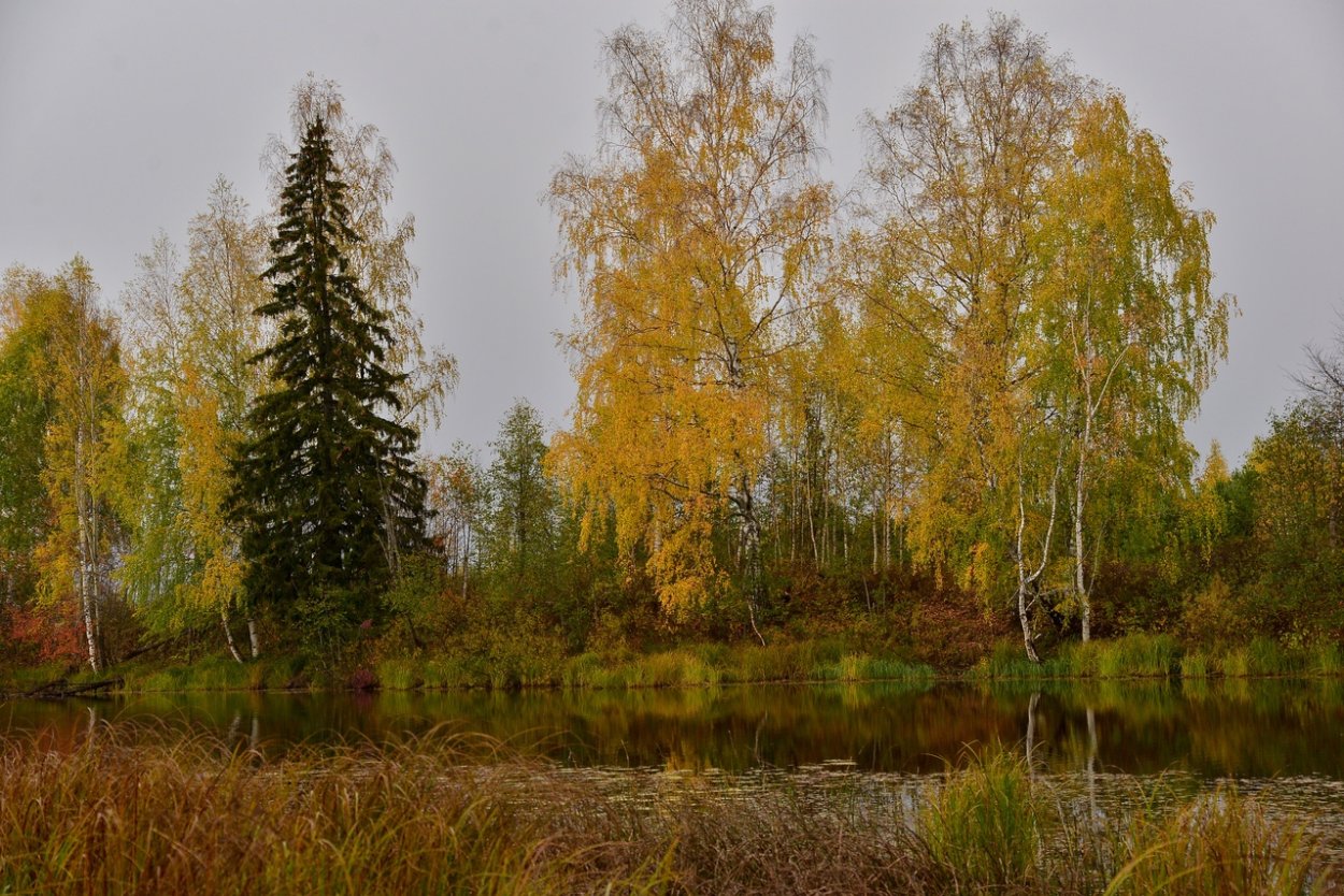 Осень в Коми
