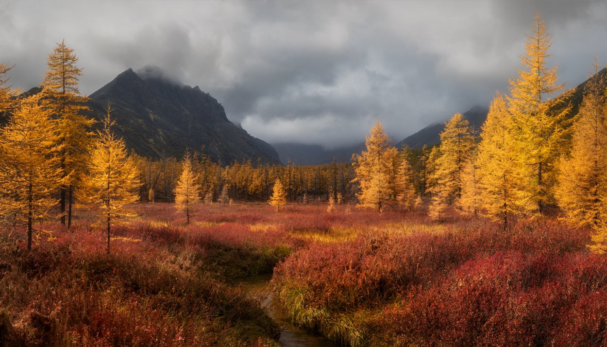 Золотая осень на Колыме
