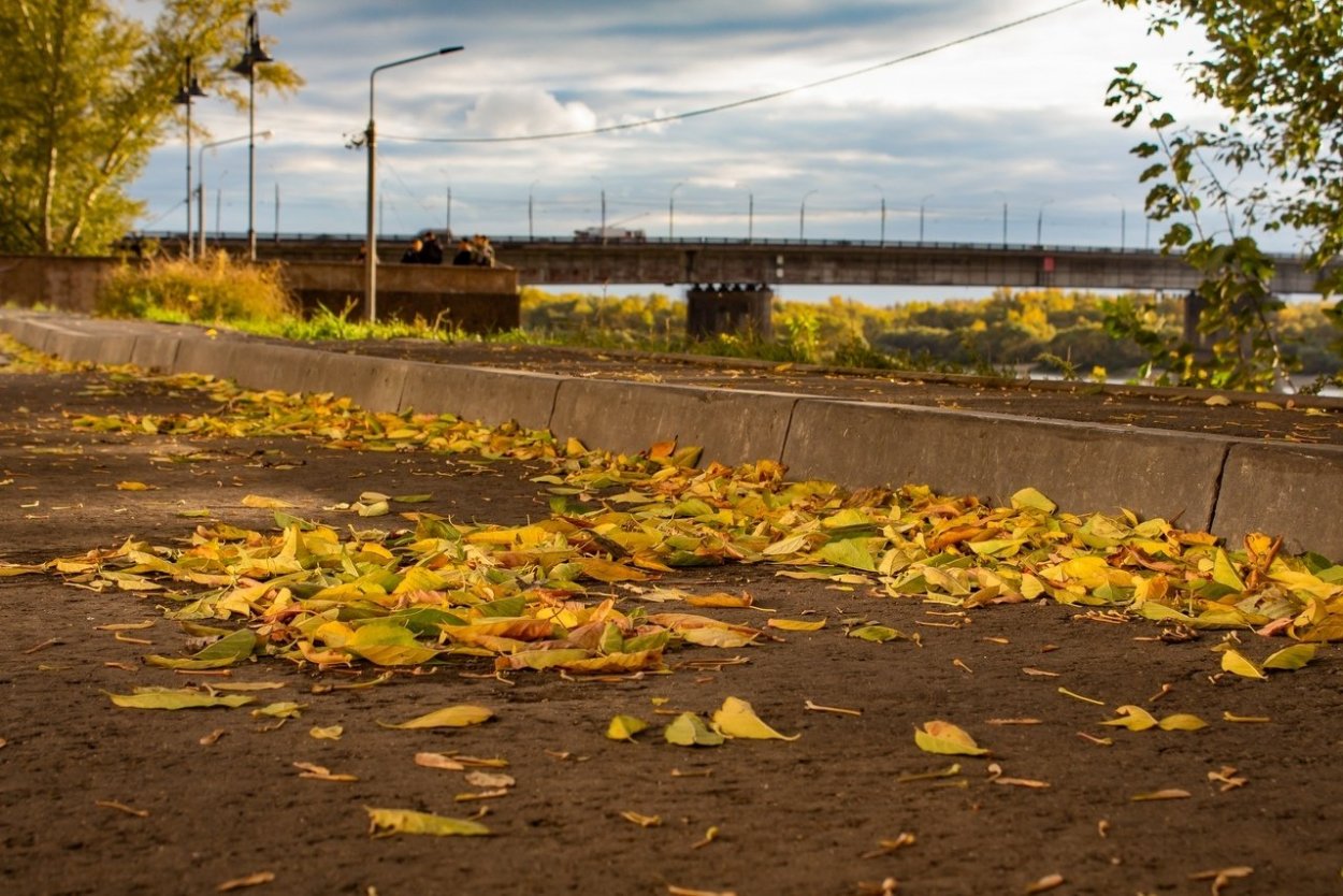 Омск осень 2022