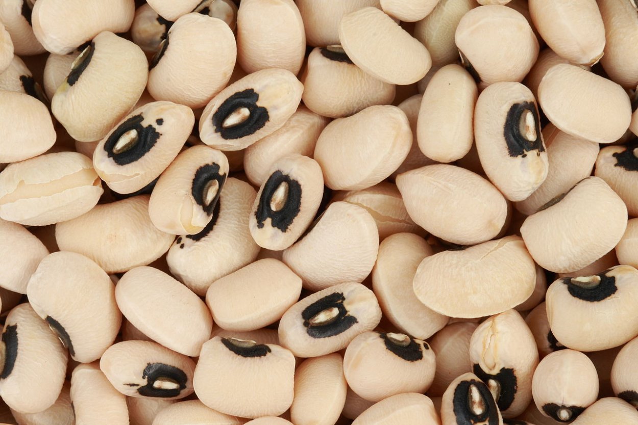 Фасоль Black eyed Peas