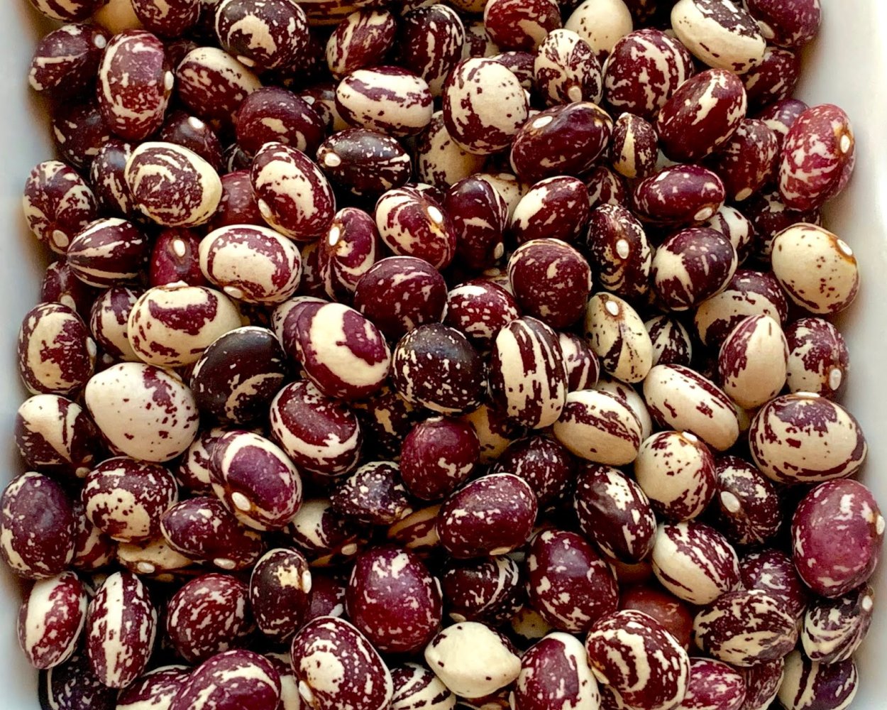 Фасоль Лимская мраморная семена