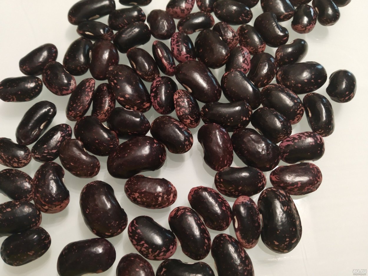 Фасоль огненно-красная (турецкие Бобы)