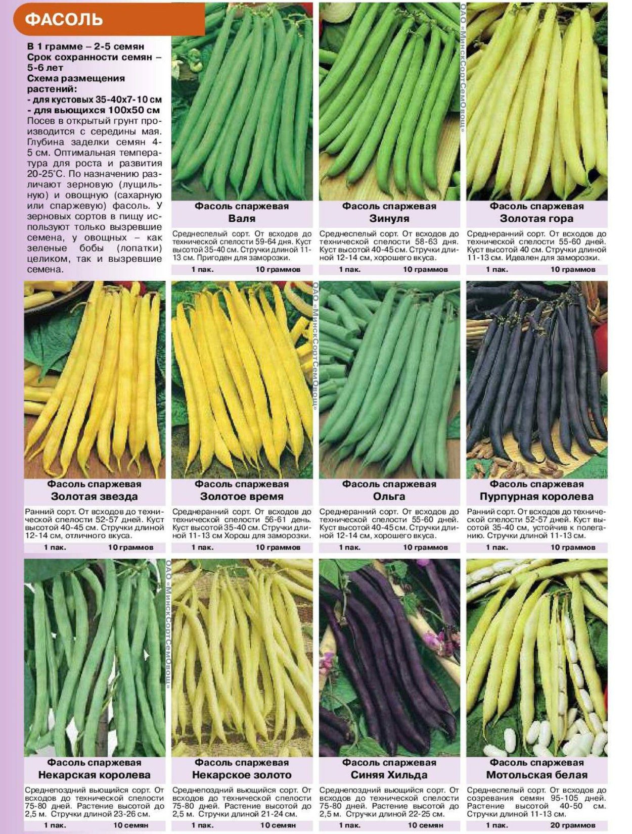 Спаржевая фасоль семена