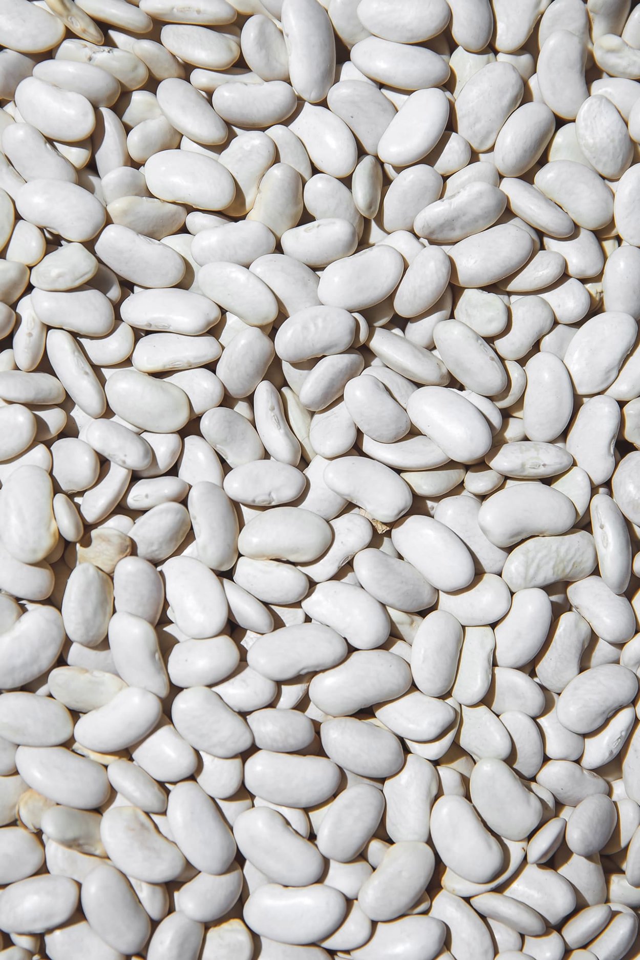 Фасоль белая White Beans