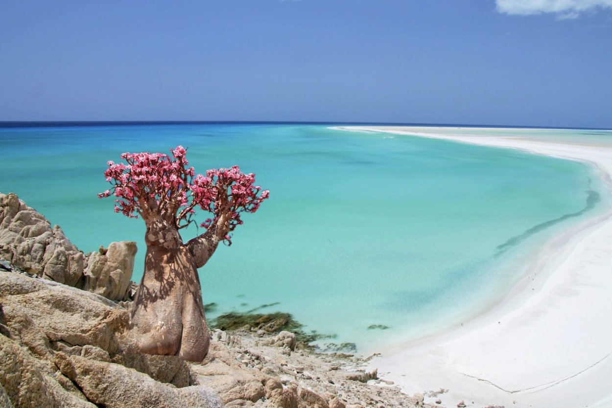 Сокотра достопримечательности