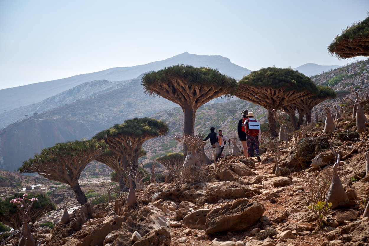 Остров Сокотра город