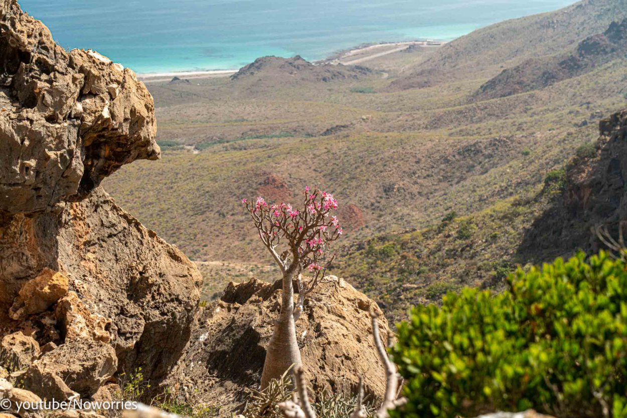 Сокотра горы