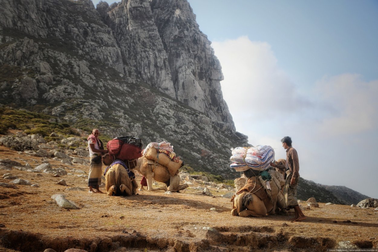 Сокотра туризм