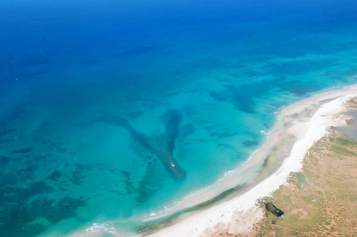 Сокотра остров отели