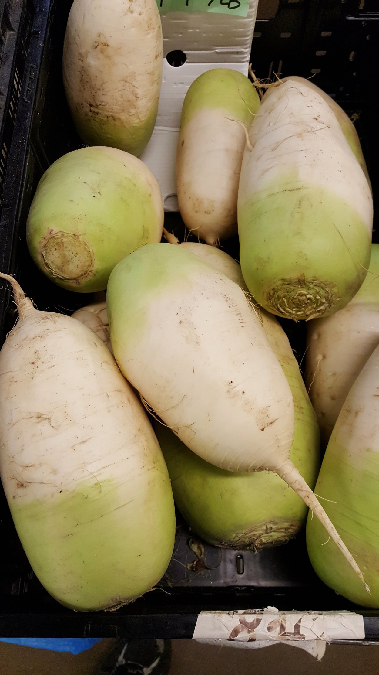 Корейский редис дайкон