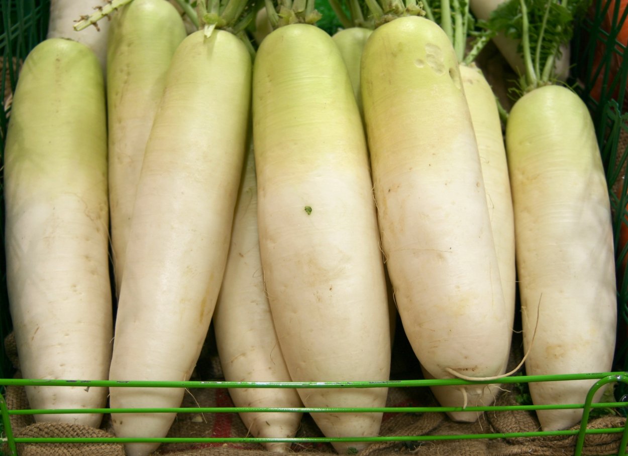 Дайкон Саша