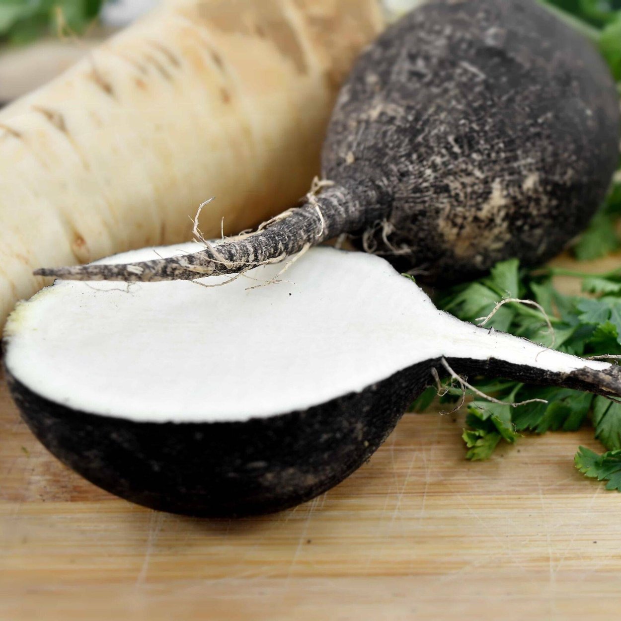 Редька красная белая и черная