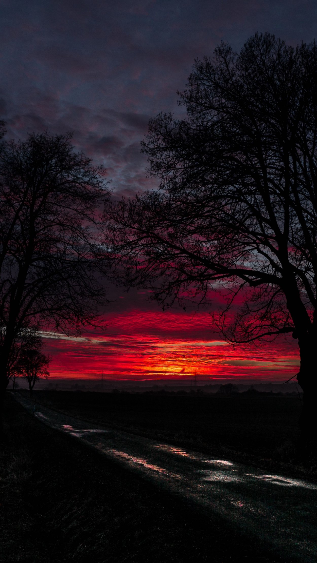 Зловещий закат