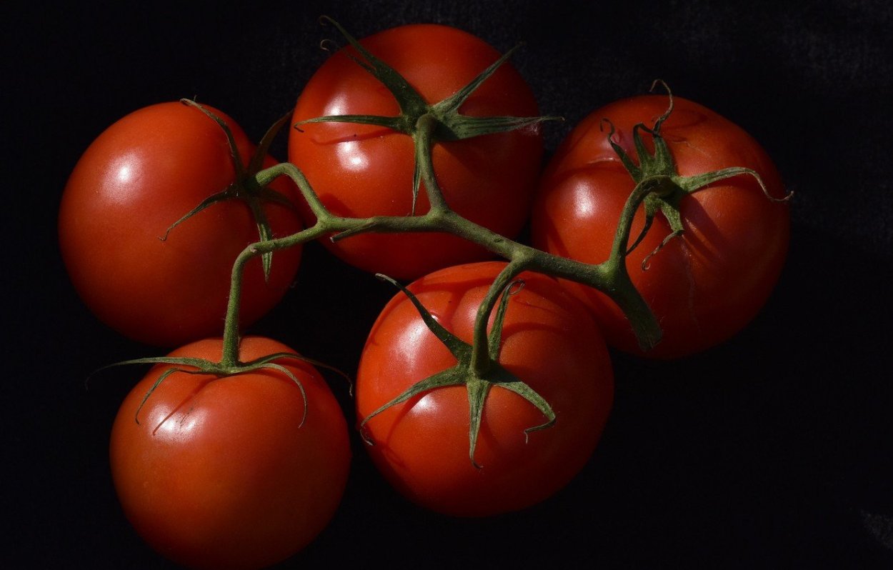 Помидор на черном фоне