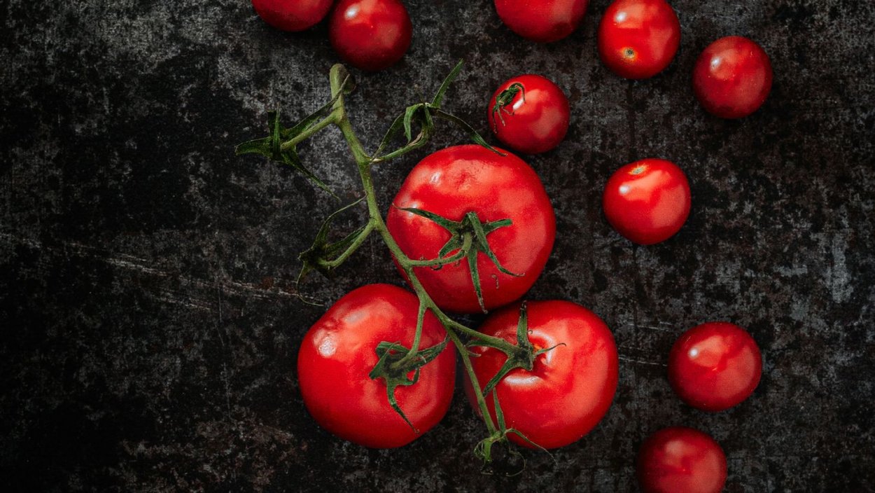 Помидоры на ветке