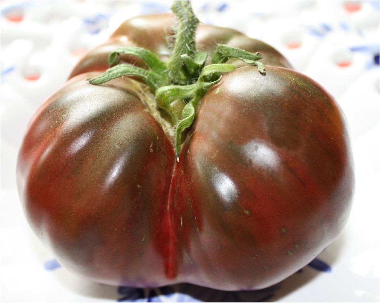 Томат черный Ангус