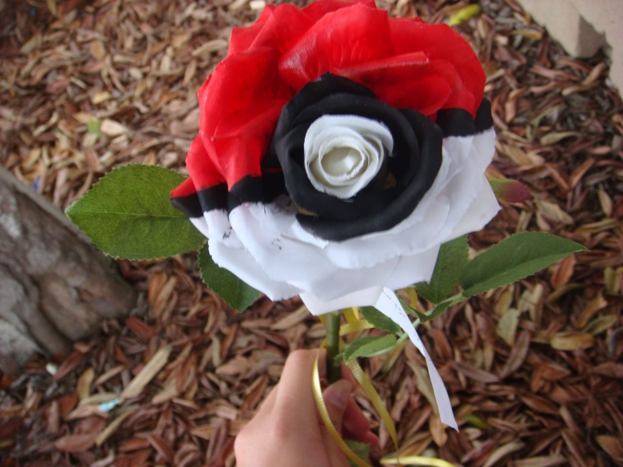 Розы черные необычные