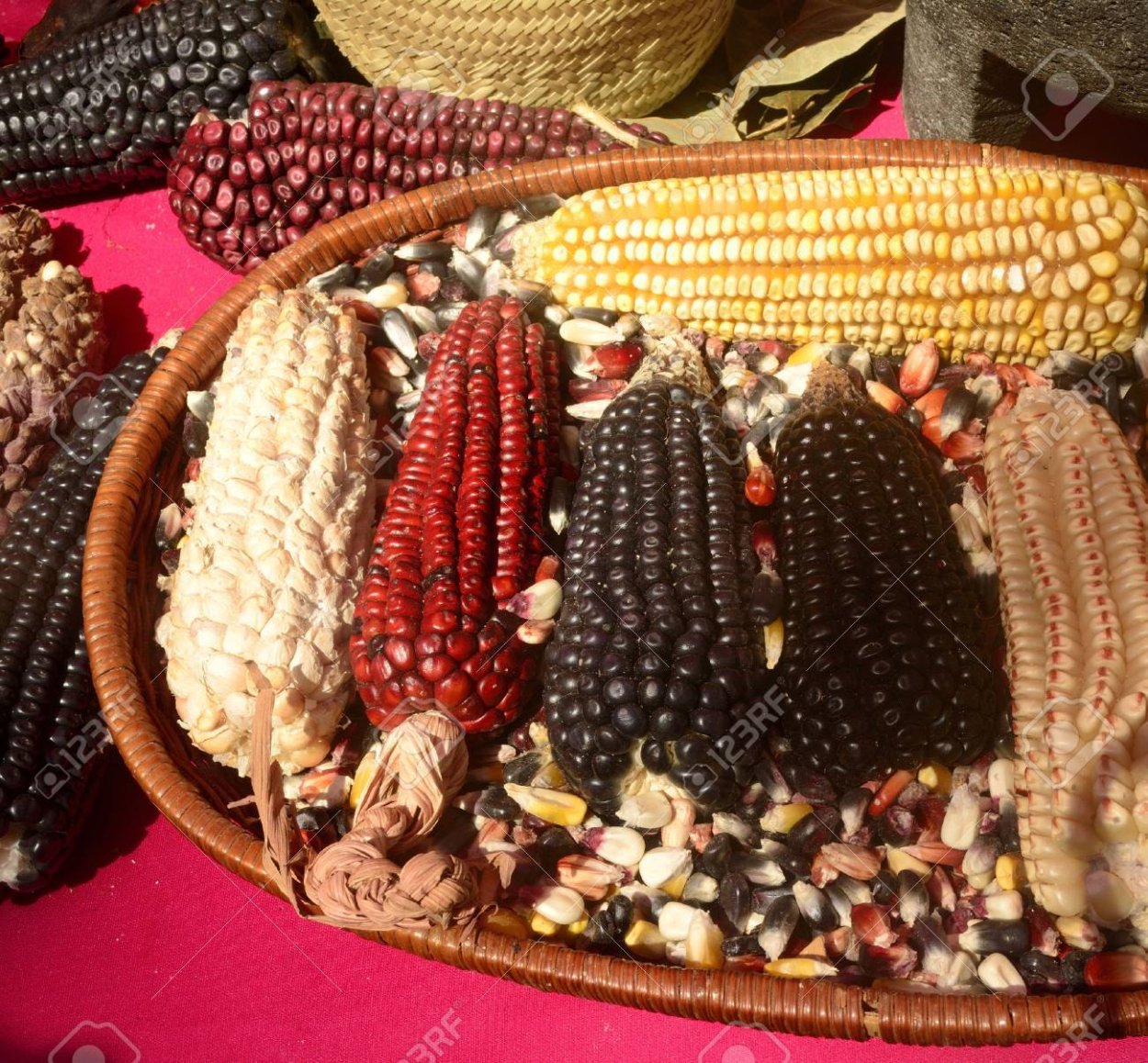 Мексика Корн кукуруза