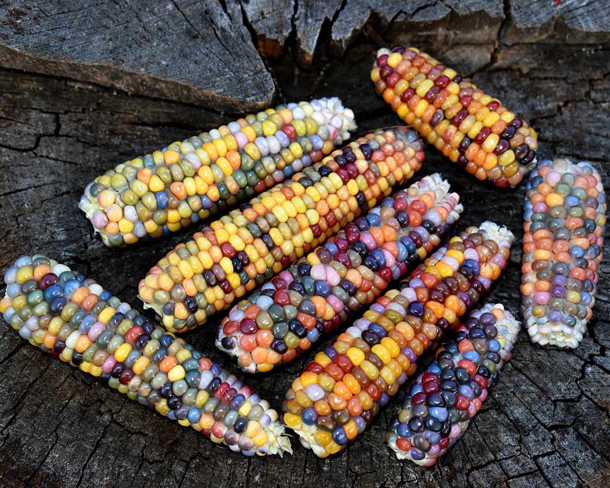 Glass Gem кукуруза попкорн