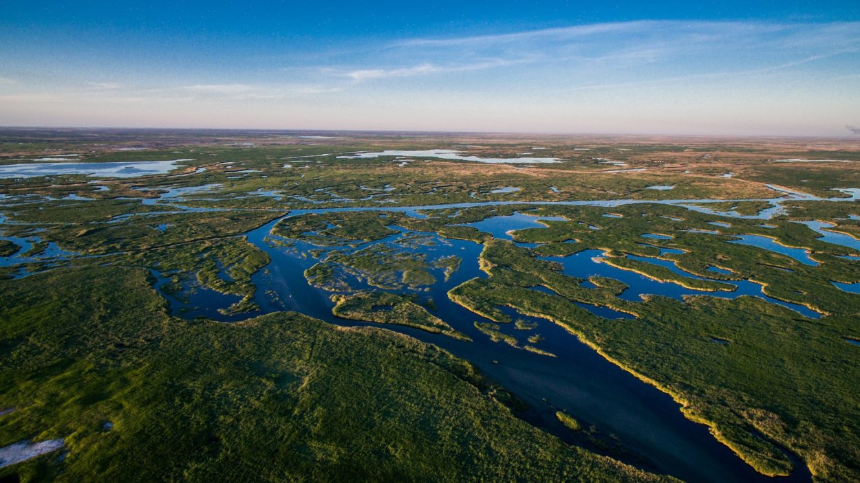 Дельта реки волга