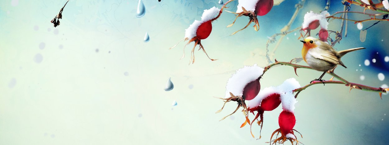 Красивый фон с птичками зимой