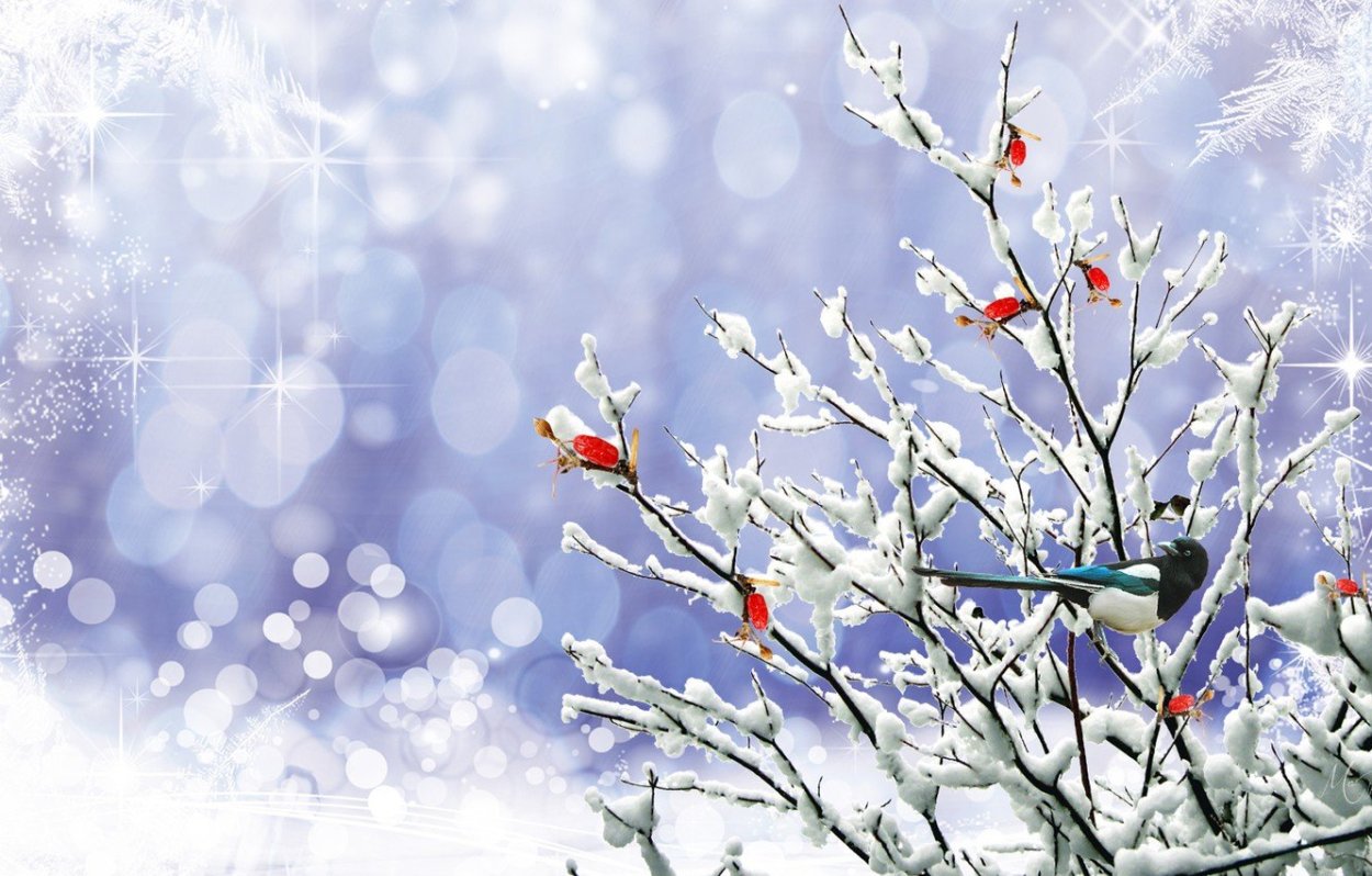 Фон зимние веточки