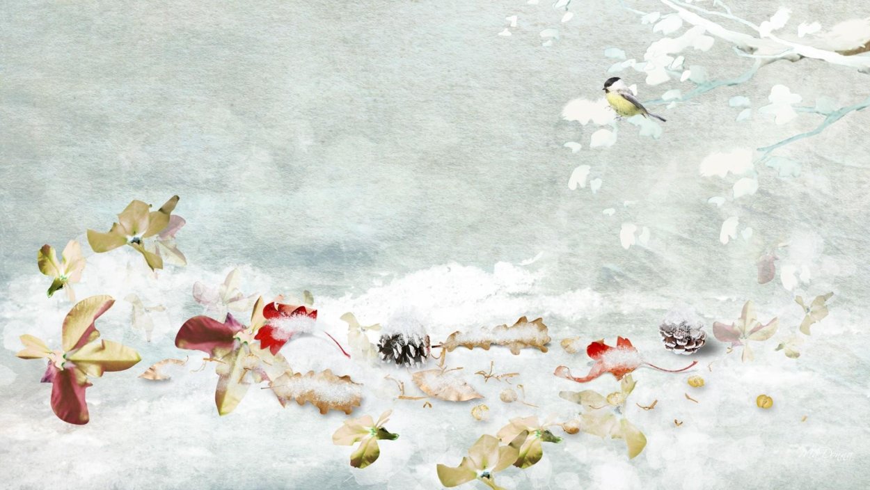 Зимний фон с птичками