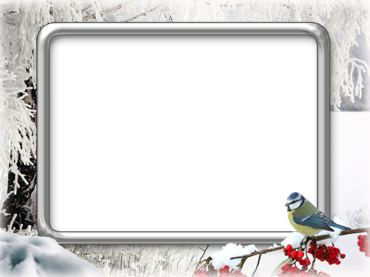 Зимний фон с птицами для презентации