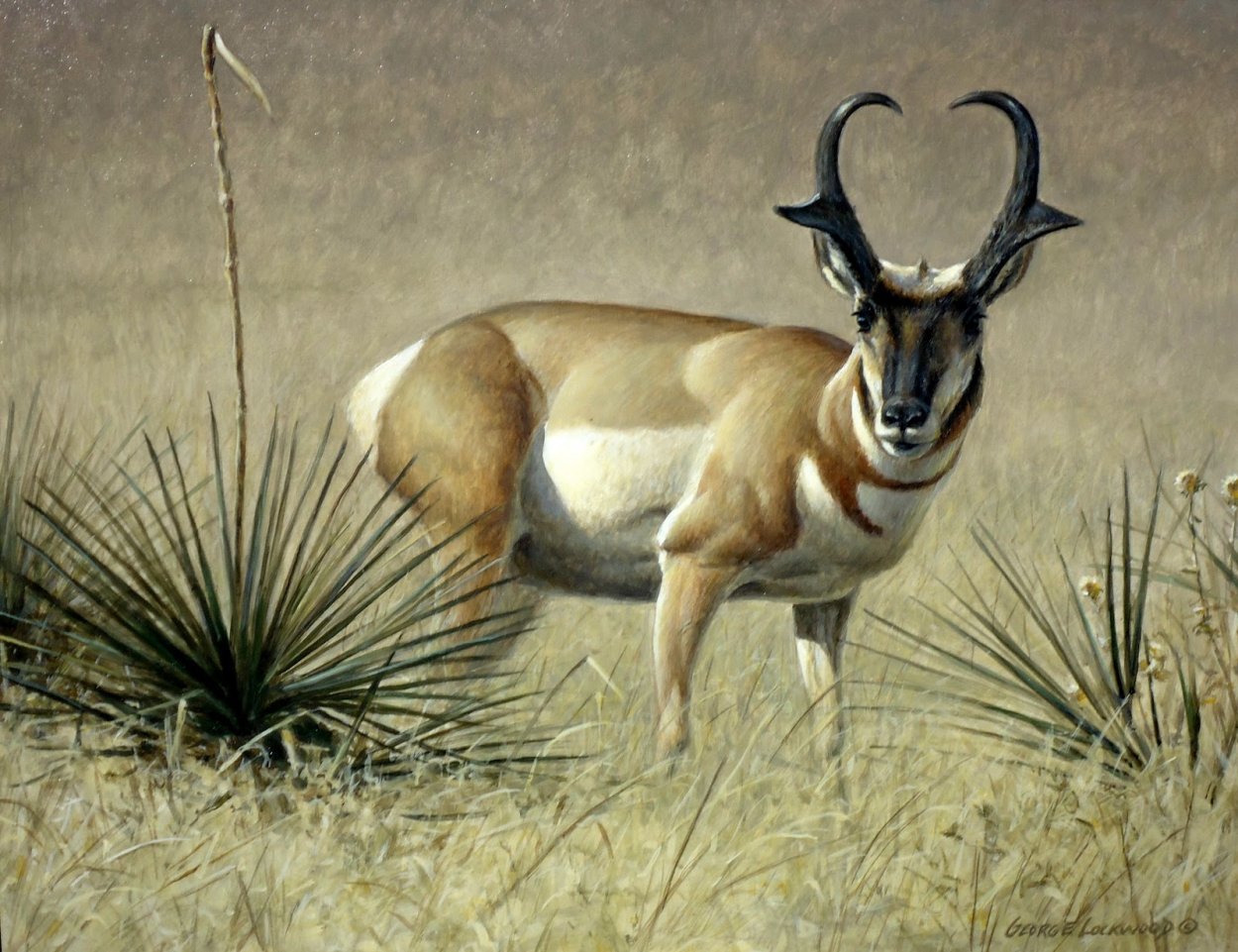 Карнавал животных антилопы