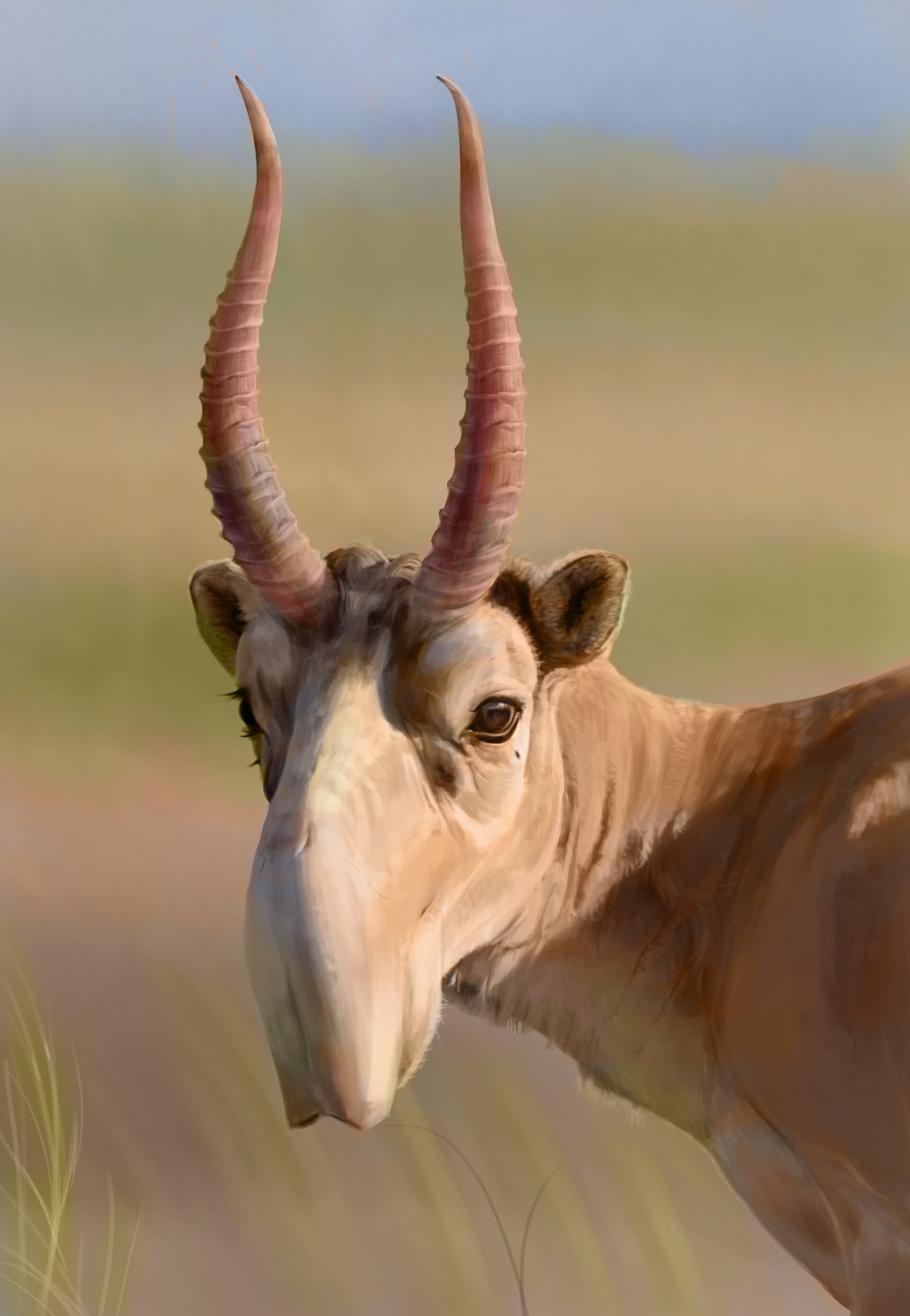 Сайга антилопа