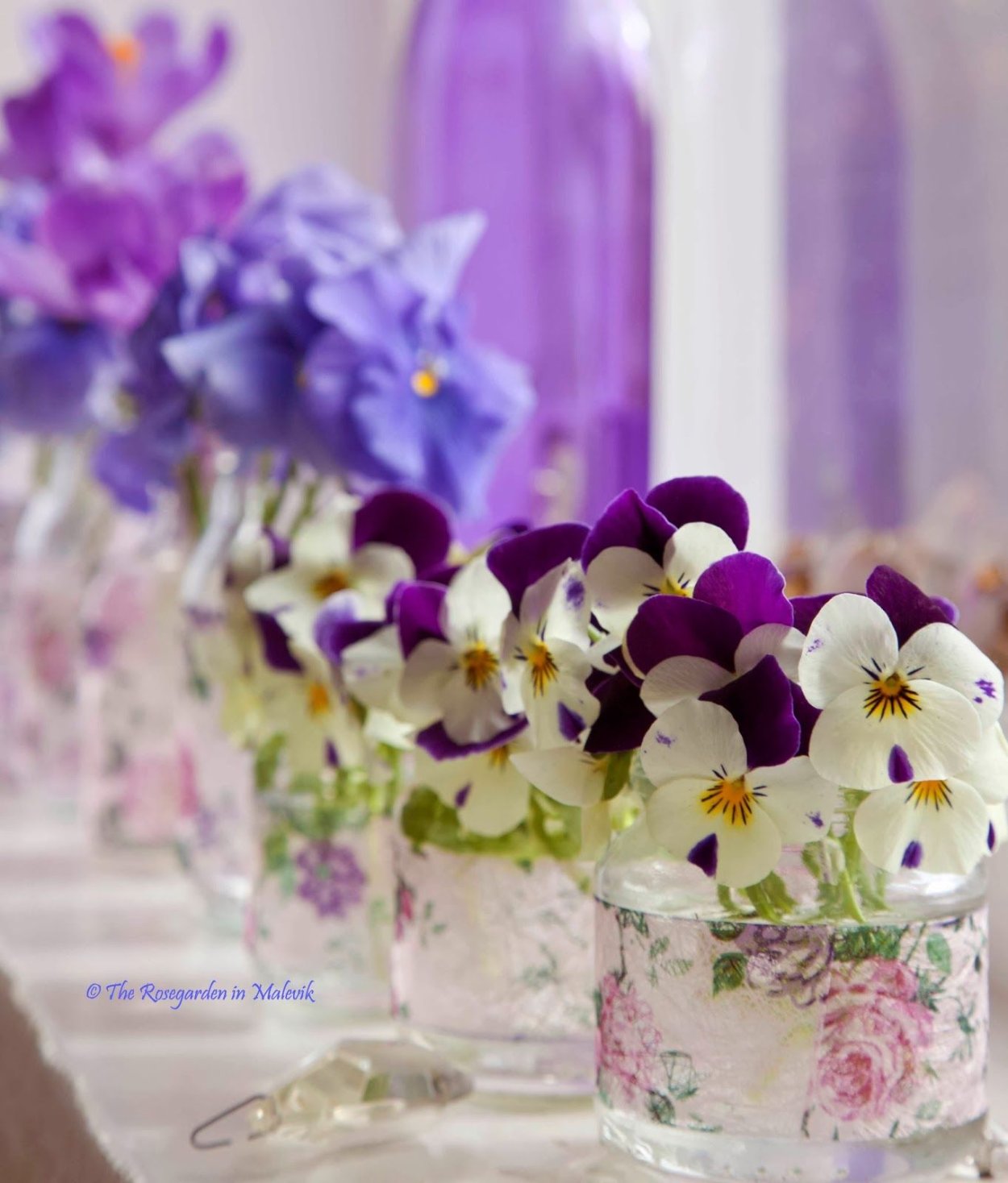 Фиалки в интерьере