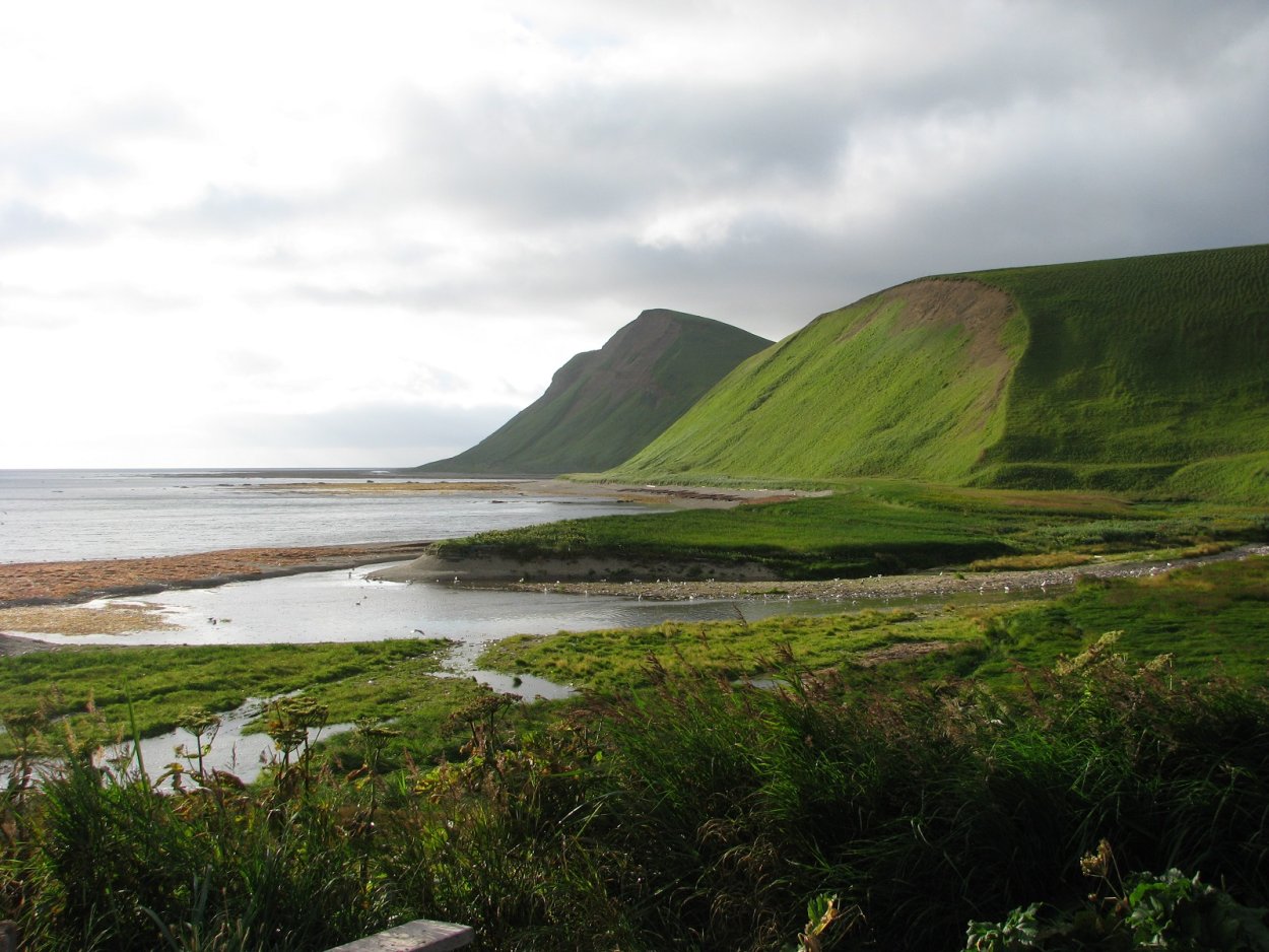 Бухта Буян остров Беринга