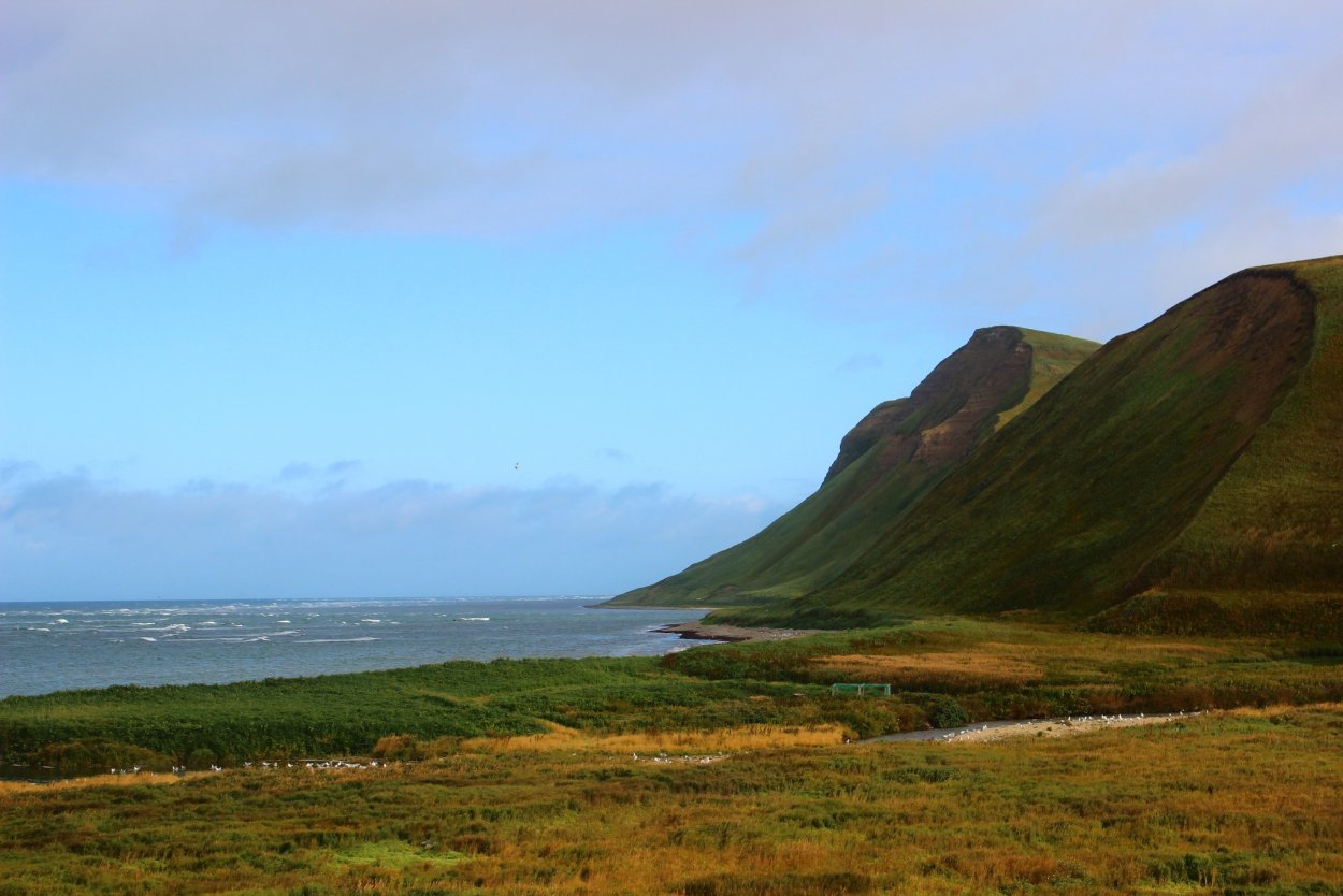 Командорские острова. Алеутский район, Камчатский край