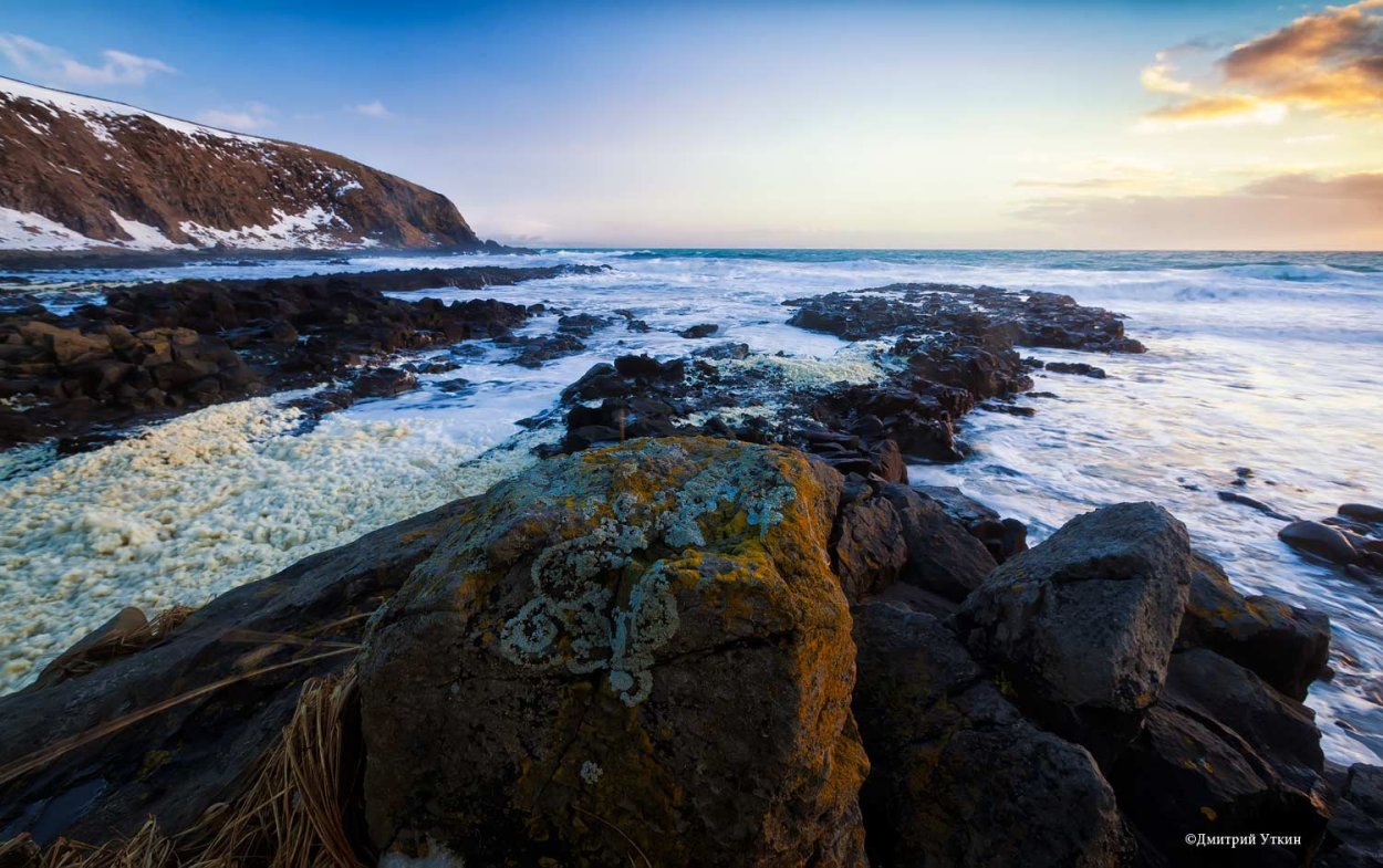 Командорские острова зимой