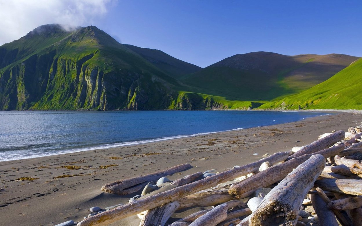 Командорский заповедник Камчатский край