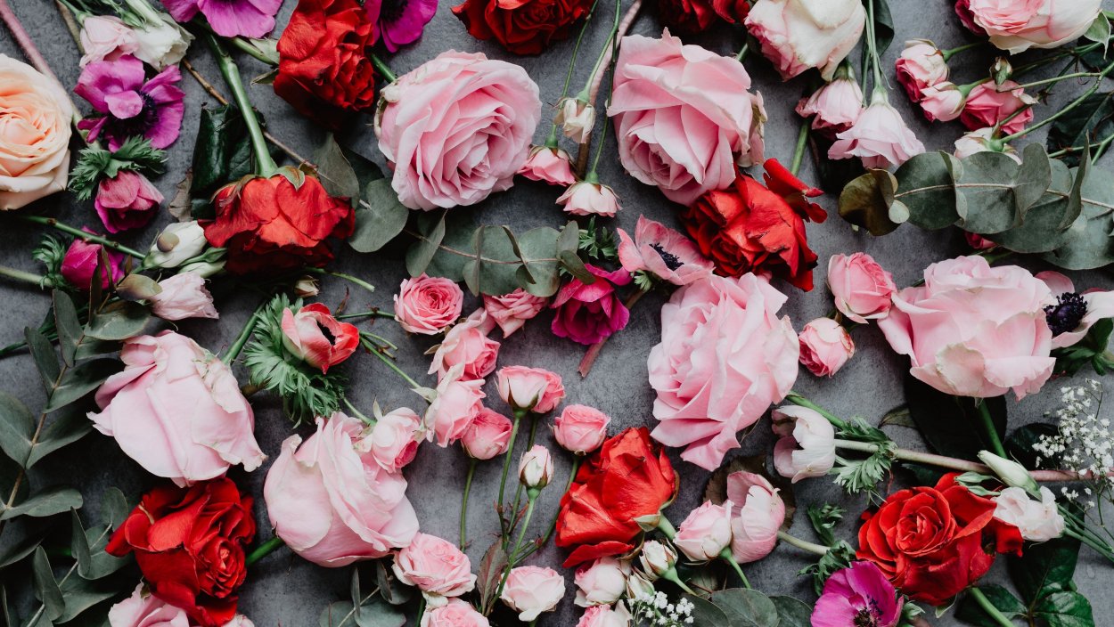 Красно розовые цветы