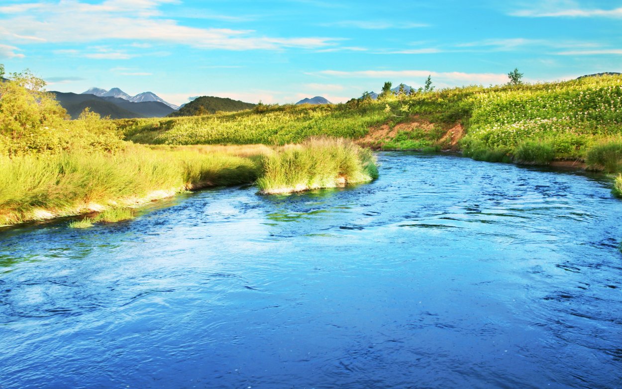 Чистая речка