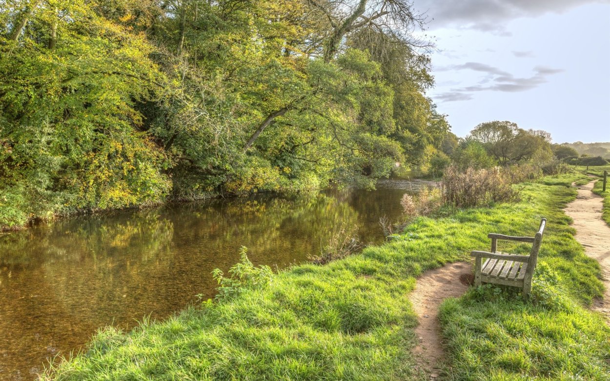 Обои на рабочий стол зелень речка скамья