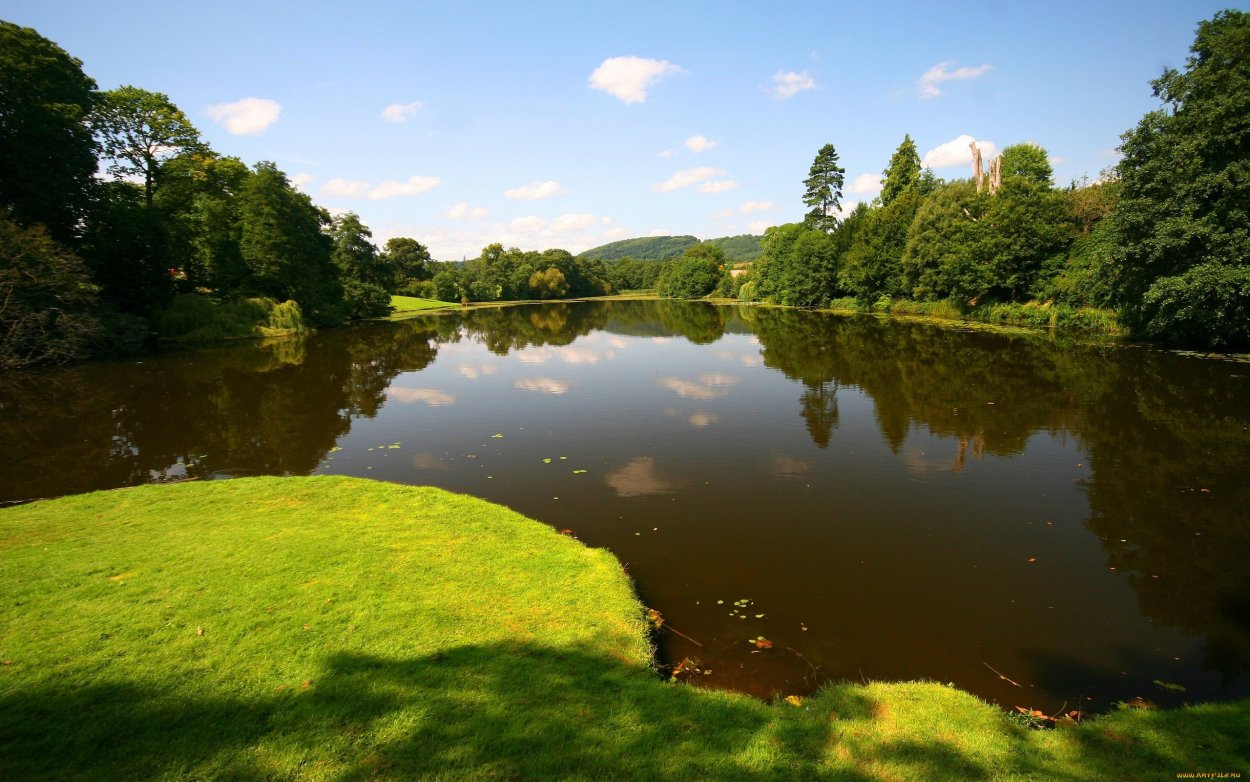 Летняя природа на рабочий стол