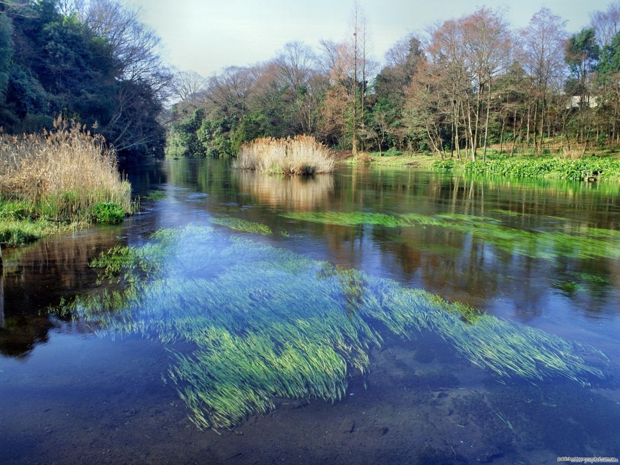 Чистые реки Подмосковья