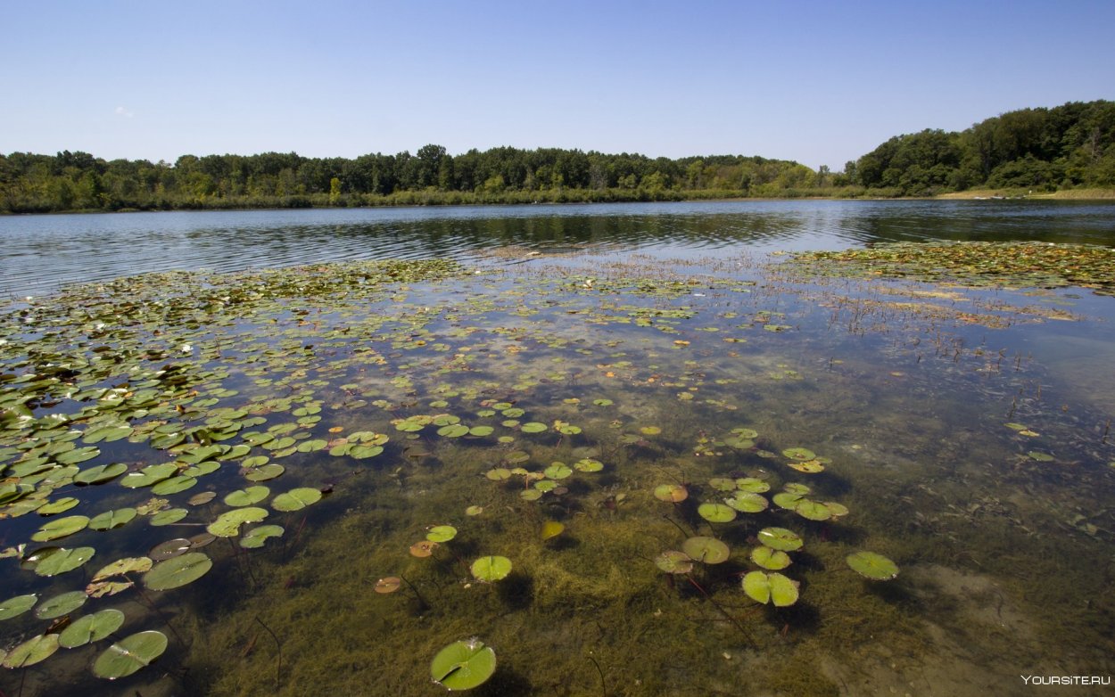 Озеро Тростенское 2022