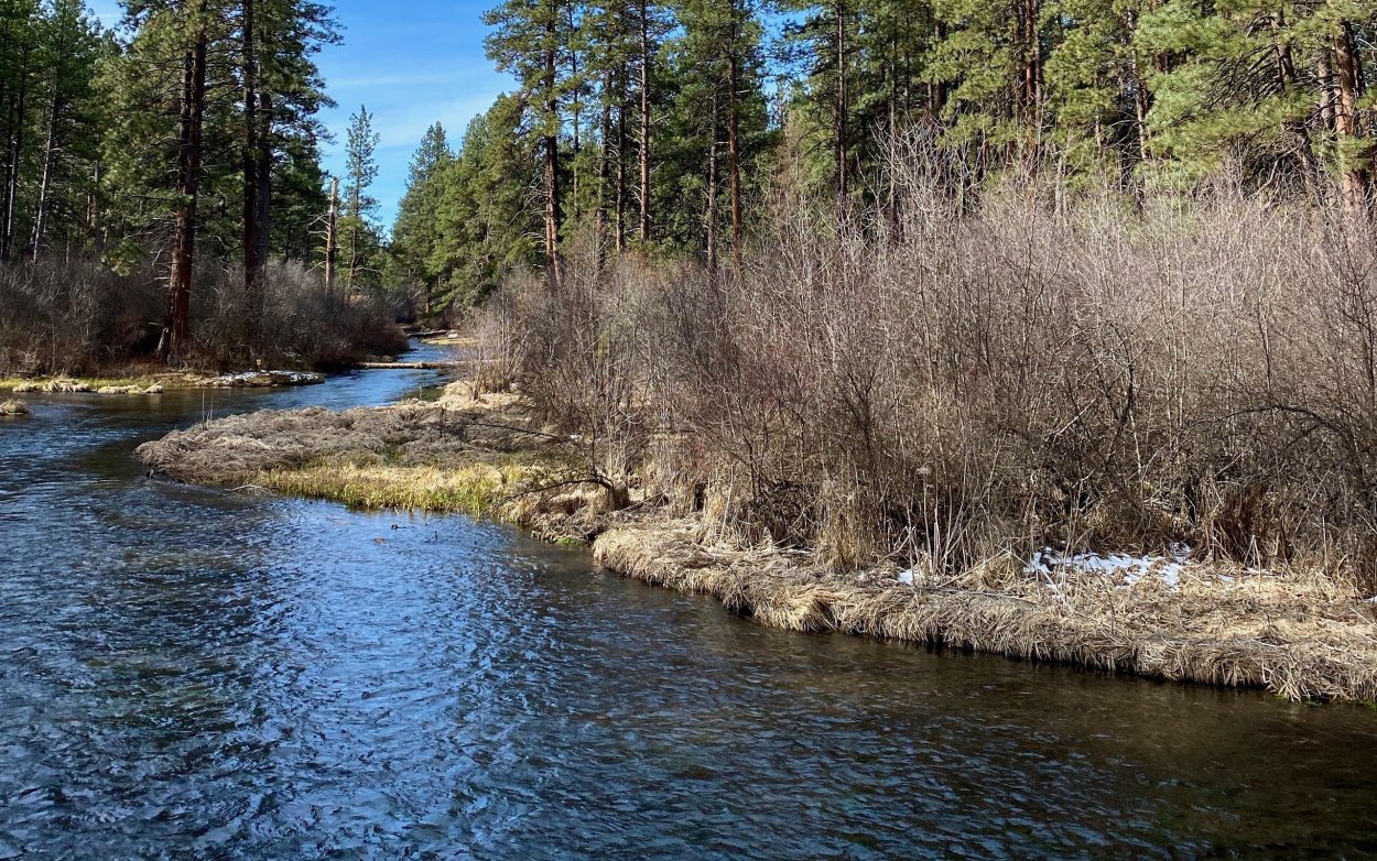 Весенняя река