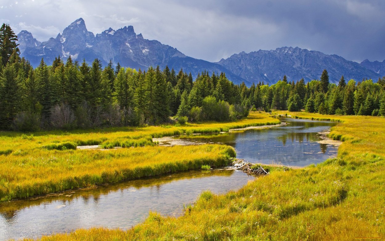 Леса поля и реки горы России