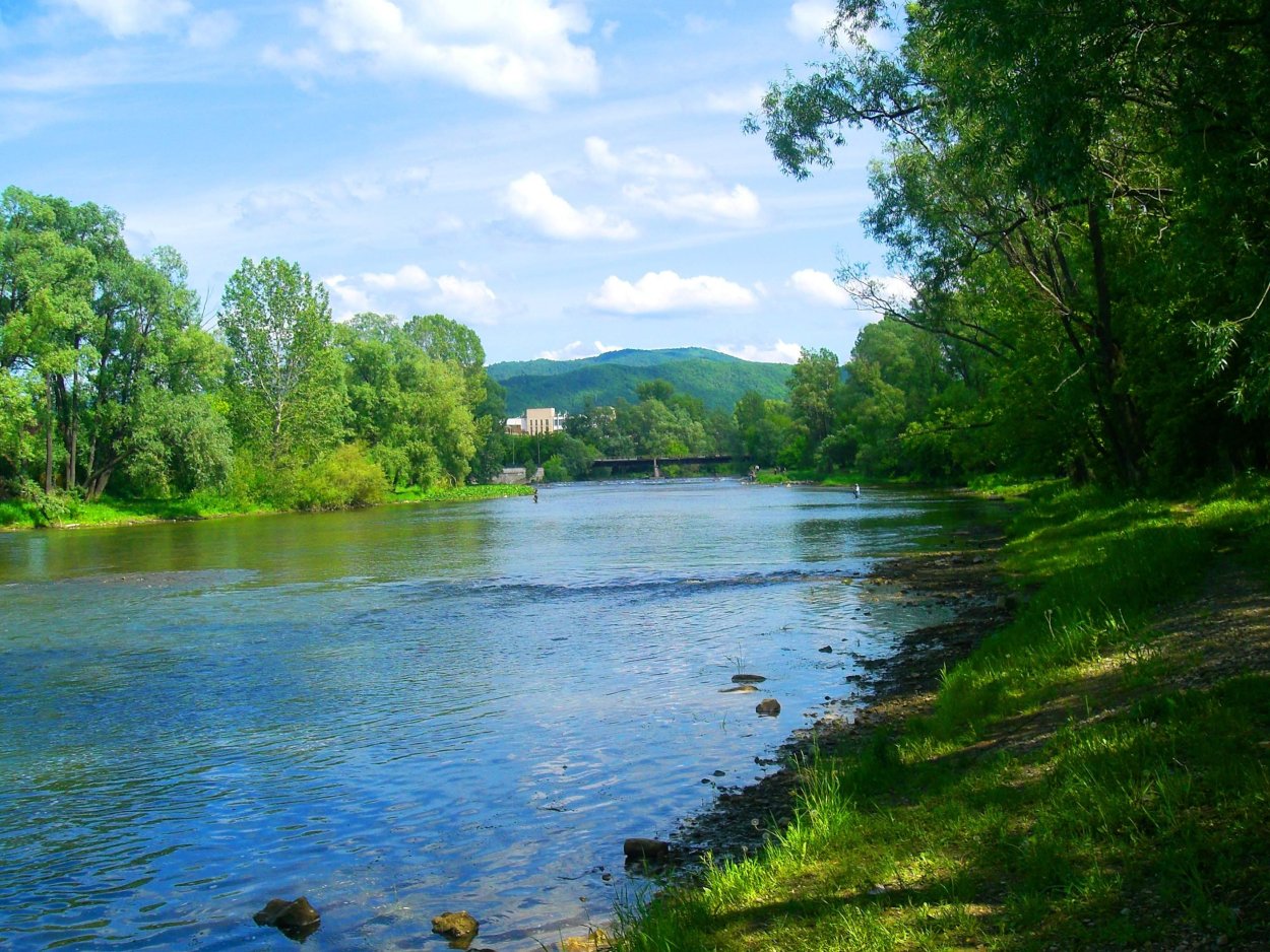 Река Вонча фото