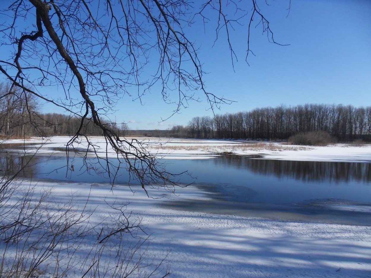 Река Вонча в Марий