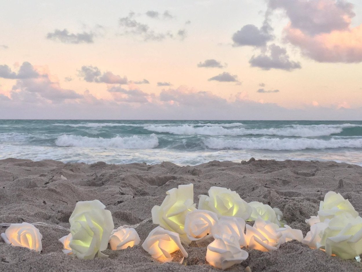 Эстетика лета